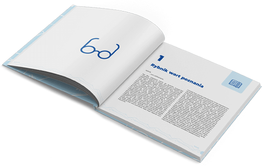 Książka Rybnik wart poznania